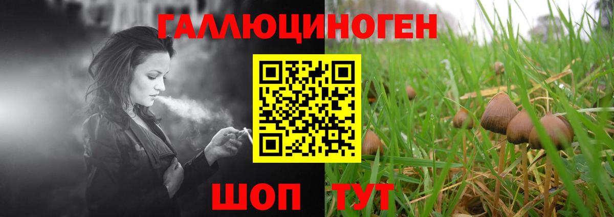 Галлюциногенные грибы Magic Shrooms Петрозаводск