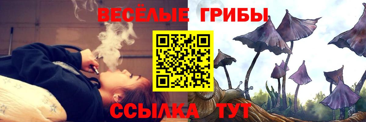 Псилоцибиновые грибы Magic Shrooms  купить наркотики сайты  Петрозаводск  Галлюциногенные грибы мухоморы  Вход с VPN 